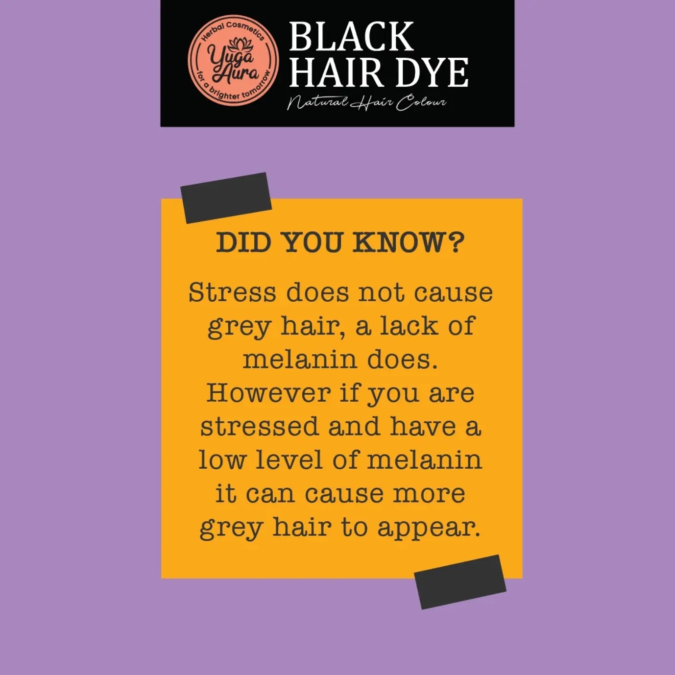 Black Hair Dye - 2 Packs - Image 2
